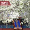 【清明】4.3 | 智化寺梨花开 看明代官式建筑 商品缩略图0