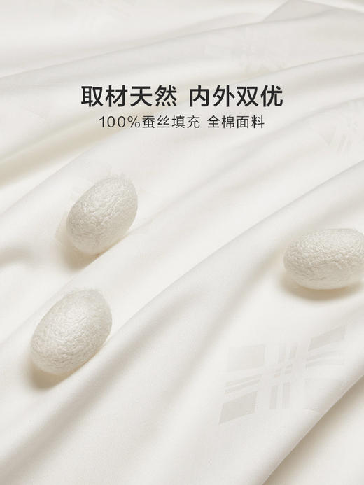 罗莱 XS- 辽安青丝·丝悦大提花抗菌蚕丝冬被 商品图1