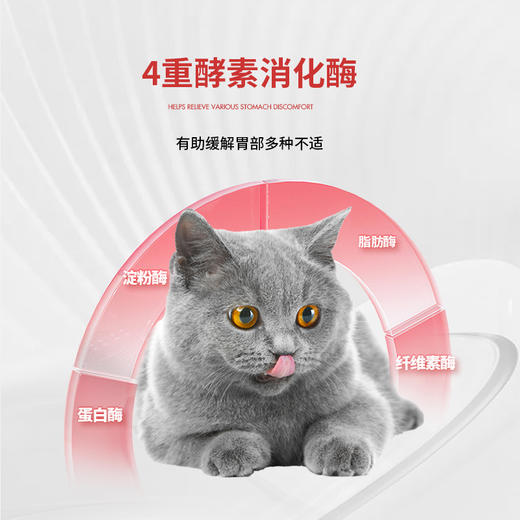 【买2送1 买2盒收到货3盒】谷登肠胃宝益生菌酵素配方5g*10袋  （犬猫通用) 商品图4