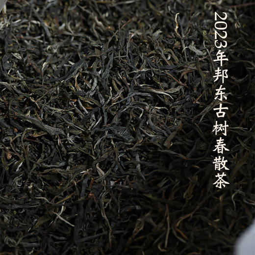 2023年邦东古树头春散茶普洱茶晒青茶生茶散称 配铁罐装 商品图1