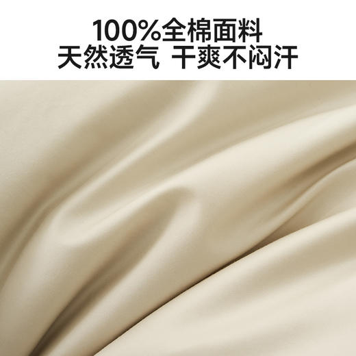 恐龙 简域 全棉60S四件套 新品上市 商品图2