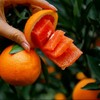 中华红橙，一不小心就会掐出一手的汁水【G】 商品缩略图8