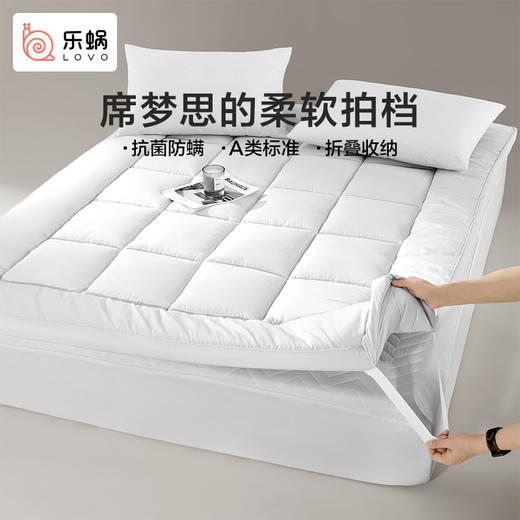 LOVO乐蜗 抗菌防螨立体加厚床垫-max 商品图1