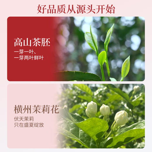 与辉同行同款【谢大高】茉莉红茶礼盒装 五窨一提 一芽一叶到两叶 清新的花果香与茉莉香 商品图2