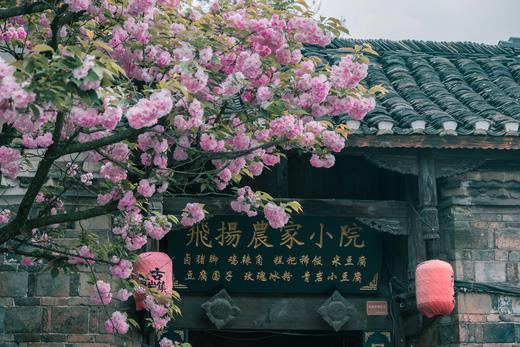 4.08贵州·百里杜鹃，乌蒙大草原，青岩古镇，花江峡谷大桥4天摄影团 商品图9