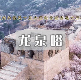 周三/清明1天【龙泉峪桃花68元】万顷长城花海の大云峡谷-龙泉峪8公里徒步穿越<初级>
