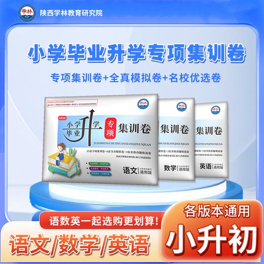2026年小学毕业升学总复习【小升初·专项集训卷】通用版 商品图0