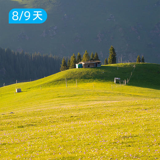 喀班巴依峰｜东喀拉峻｜赏花版&冰川版 新疆史诗级立体景观线 8/9日 商品图12