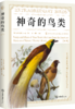 神奇的鸟类 商品缩略图0
