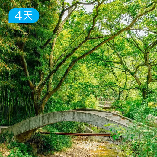 富春山居徒 | 打卡黄公望同款 人文讲师随行  16人精品小团 4日 商品图0