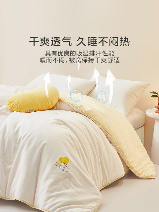 罗莱 XS 小鲜豆·舒柔PLUS大豆纤柔抗菌二合一被 商品图0
