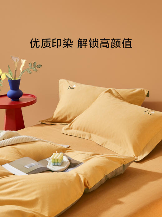 罗莱 XS MATS·窗 商品图2