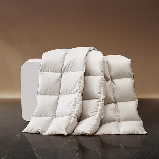 罗莱 TG 超柔A类雪域鹅绒冬被 鎏金 商品图12