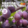 西域美农新疆西梅原浆150ml*10瓶  NFC鲜榨果汁  西梅汁  黑吉辽海南内蒙顺丰包邮，西藏中通运费8.5 商品缩略图4