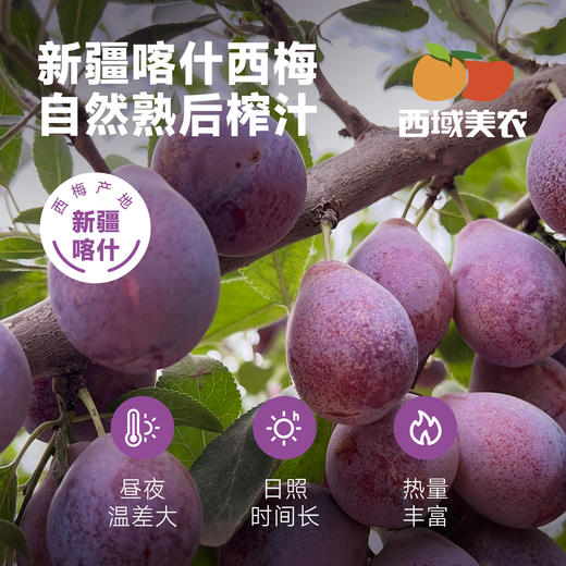 西域美农新疆西梅原浆150ml*10瓶  NFC鲜榨果汁  西梅汁  黑吉辽海南内蒙顺丰包邮，西藏中通运费8.5 商品图4