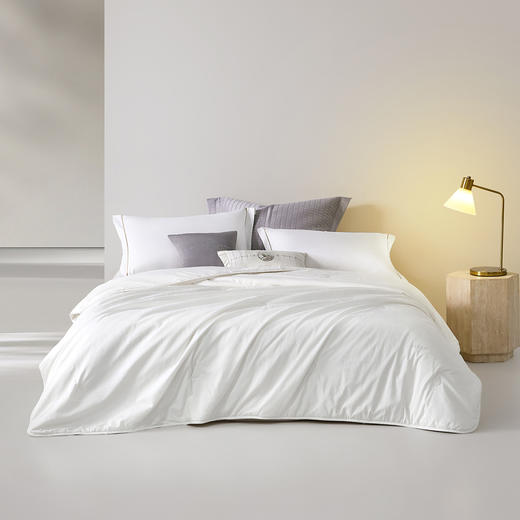 罗莱 TG 溯源·辽安青丝A类全棉蚕丝四季被 商品图0