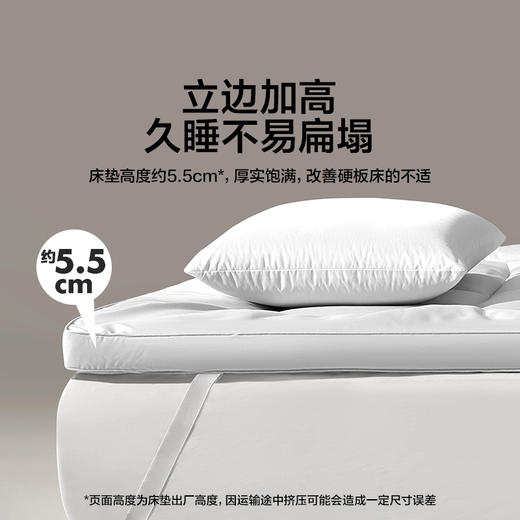 LOVO乐蜗 抗菌防螨立体加厚床垫-max 商品图4