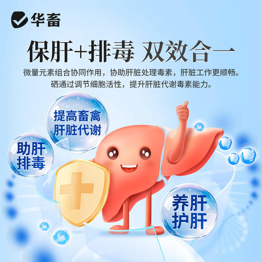 1袋肝毒清500g 商品图2