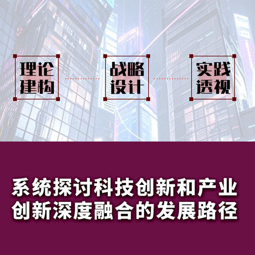 科技创新和产业创新融合：中国的发展路径与对策研究报告 推动实现高质量发展的战略框架与实施路径 企业管理中国经济书籍 商品图2