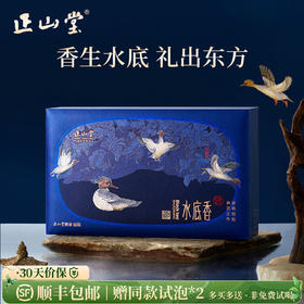 正山堂 宋风雅韵水底香礼盒装 正山小种红茶特级茶叶年货送礼102g