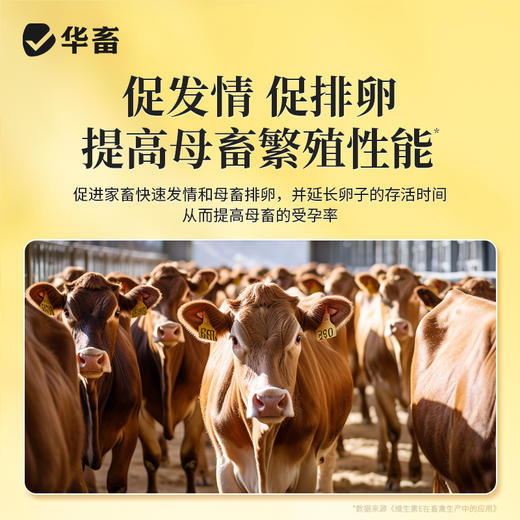 华畜繁育宝500g 促进排卵受精率高幼崽壮 商品图3
