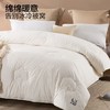 LOVO 新疆棉棉花春秋被 升级版 商品缩略图0