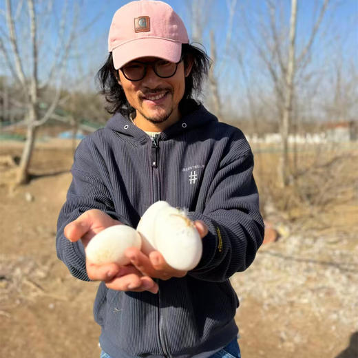 散养鹅蛋丨吃粮食/谷物长大的 蛋清浓稠 蛋黄紧致 腥味小，个头大小不一，介意慎拍‼️现产现发，不接急单！⭐️顺丰快递 商品图2