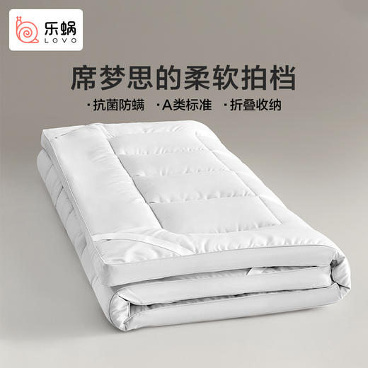 LOVO乐蜗 抗菌防螨立体加厚床垫-max 商品图6
