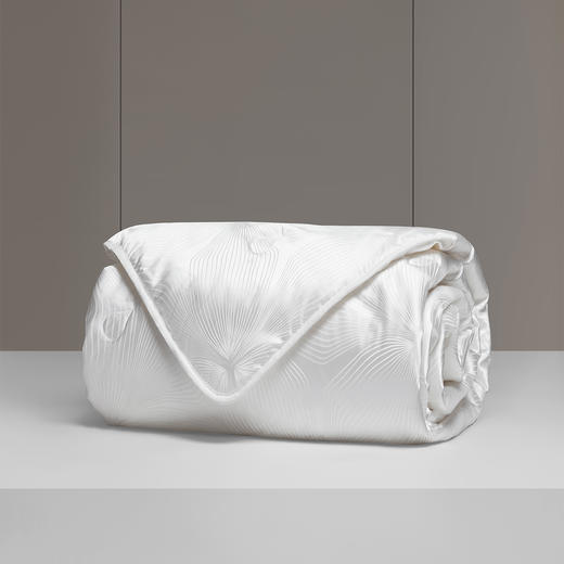 罗莱 XS  辽安青丝·丝悦大提花抗菌蚕丝四季被 商品图4