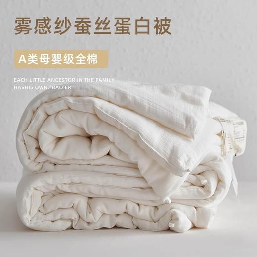 20%蚕丝蛋白！全棉A类母婴级轻柔保暖春秋被夏凉被冬被加厚子母被柔软被芯 商品图0