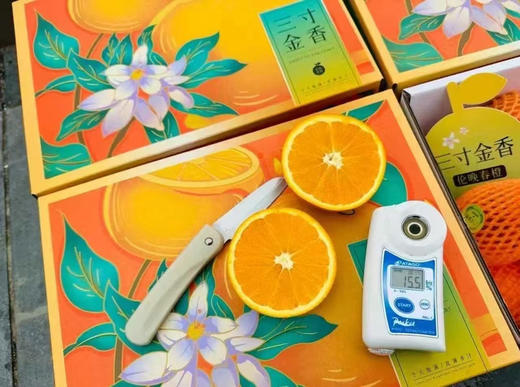 【三寸金香·伦晚春橙🍊】一江春水，两岸蜜橙，三寸金香，四季晚成[强]，来自长江两岸的橙子，好山好水好橙子！【三寸金香·伦晚春橙🍊】 商品图1