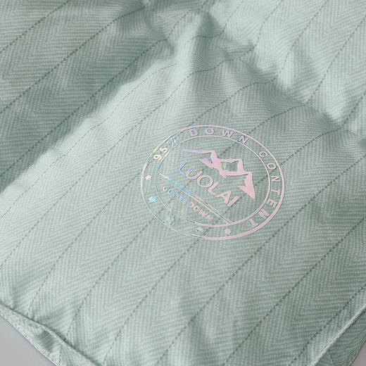 罗莱 XS-智?享溯源A类95鹅绒冬被-星河 商品图4