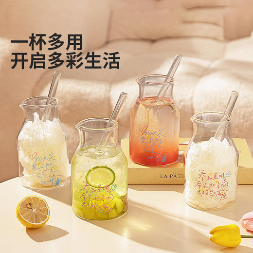 摩登主妇高硼硅玻璃杯ins吸管杯大容量家用喝水杯果汁奶茶杯咖啡杯子 商品图4