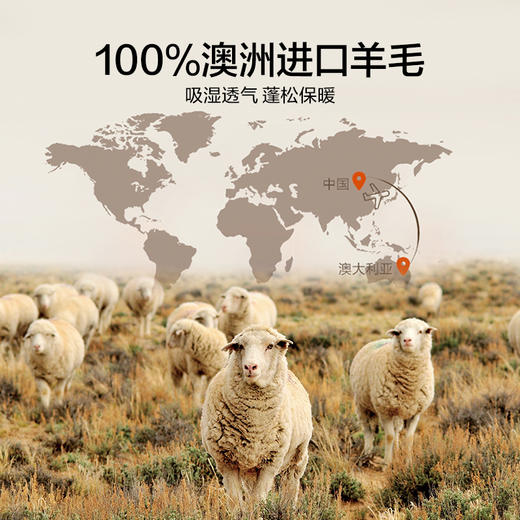 LOVO乐蜗 倍·暖 抗菌防螨澳毛加厚冬被-亲暖 商品图3