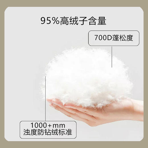 罗孚 95白鹅绒 云感深睡 春/秋被 商品图2