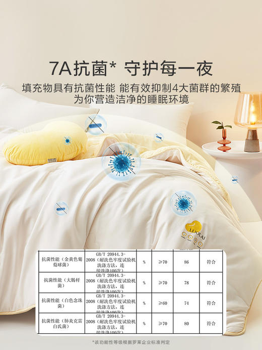 罗莱 XS 小鲜豆·舒柔PLUS大豆纤柔抗菌二合一被 商品图2