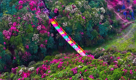 4.08贵州·百里杜鹃，乌蒙大草原，青岩古镇，花江峡谷大桥4天摄影团 商品图12