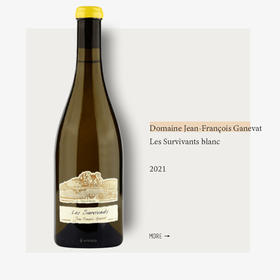 Domaine Jean-François Ganevat Les Survivants blanc 2021加内瓦酒庄幸存者干白葡萄酒2021