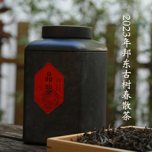 2023年邦东古树头春散茶普洱茶晒青茶生茶散称 配铁罐装 商品图0