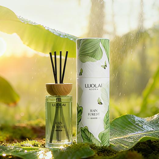 罗莱悦礼-雨林蕉影无火香氛（野橘溯光） 商品图4