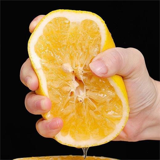 正宗黄金葡萄柚 新鲜水果大果 当季甜西柚 商品图3