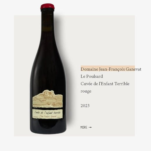 Domaine Jean-François Ganevat Le Poulsard Cuvée de l'Enfant Terrible rouge 2023 商品图0