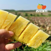 西域美农海南金钻凤梨 树上熟 削皮即吃 绿色认证 商品缩略图8