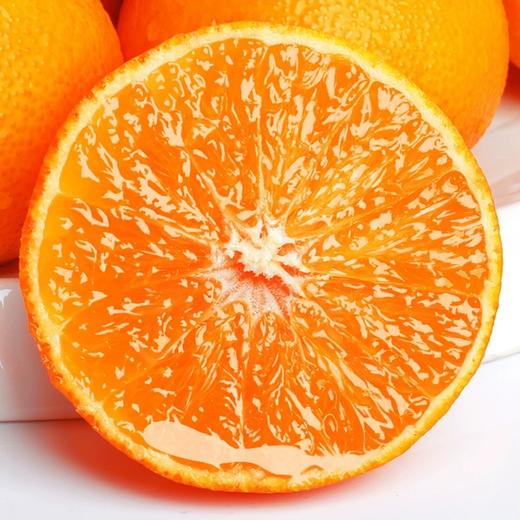 爱媛果冻橙【39元5斤】丨新鲜采摘 果肉鲜嫩爆汁 商品图4