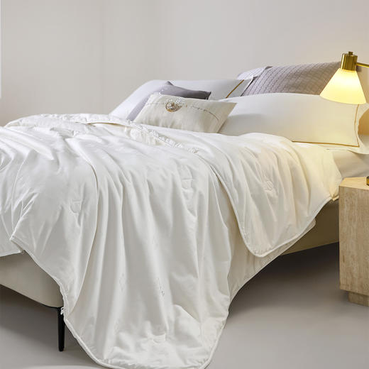 罗莱 TG 溯源·辽安青丝A类全棉蚕丝四季被 商品图3