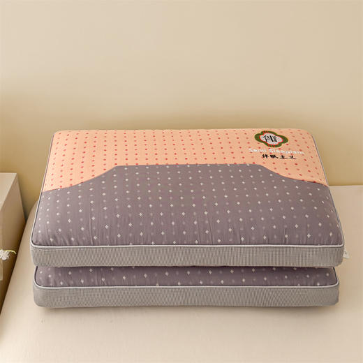 【89元/对】全棉双层纱纯荞麦枕 护颈助眠 商品图1