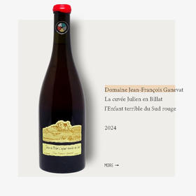 Domaine Jean-François Ganevat La cuvée Julien en Billat l'Enfant terrible du Sud rouge 2024