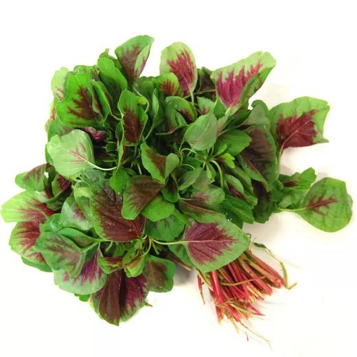 【BF春菜尝鲜】新鲜红苋菜 蔬菜露天蔬菜 当季红米苋500g 商品图0