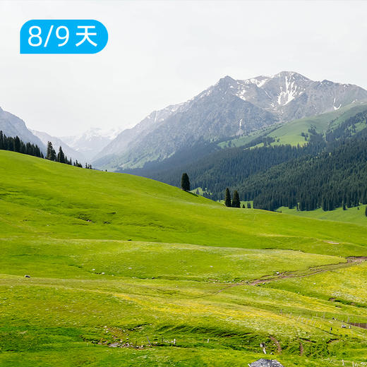 喀班巴依峰｜东喀拉峻｜赏花版&冰川版 新疆史诗级立体景观线 8/9日 商品图11