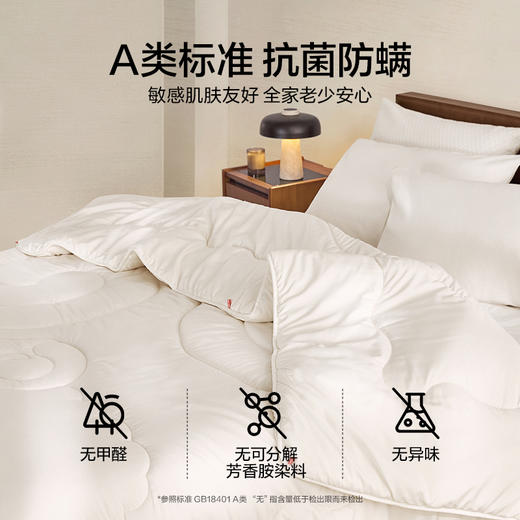 LOVO乐蜗 倍·暖 抗菌防螨澳毛加厚冬被-亲暖 商品图0